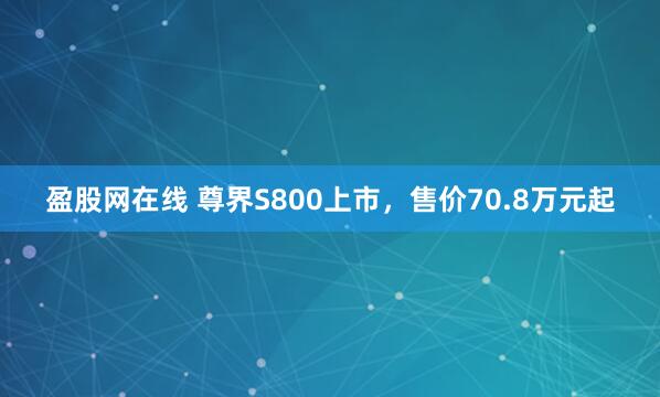 盈股网在线 尊界S800上市，售价70.8万元起