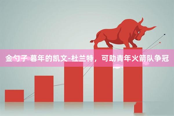 金勺子 暮年的凯文-杜兰特，可助青年火箭队争冠