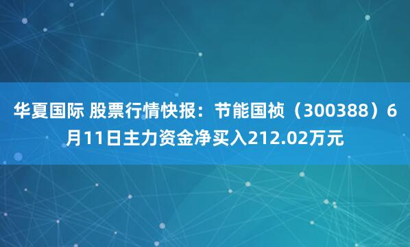 华夏国际 股票行情快报：节能国祯（300388）6月11日主力资金净买入212.02万元