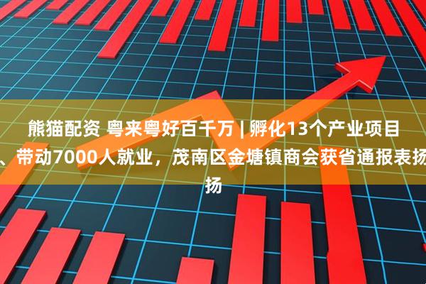 熊猫配资 粤来粤好百千万 | 孵化13个产业项目、带动7000人就业，茂南区金塘镇商会获省通报表扬