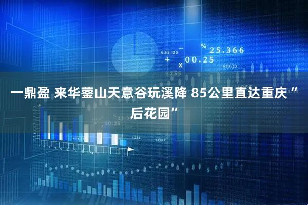 一鼎盈 来华蓥山天意谷玩溪降 85公里直达重庆“后花园”