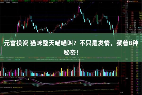 元富投资 猫咪整天喵喵叫？不只是发情，藏着8种秘密！